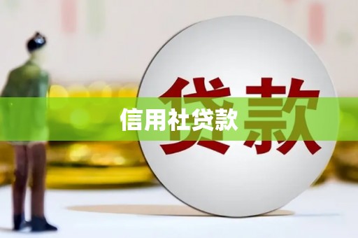 常平信用社贷款