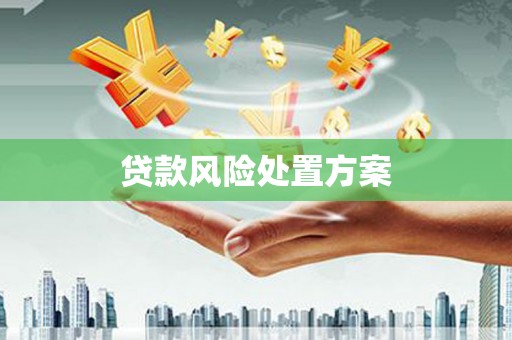 常平贷款风险处置方案