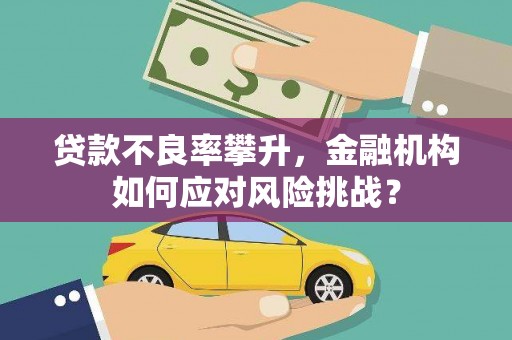 常平贷款不良率攀升，金融机构如何应对风险挑战？