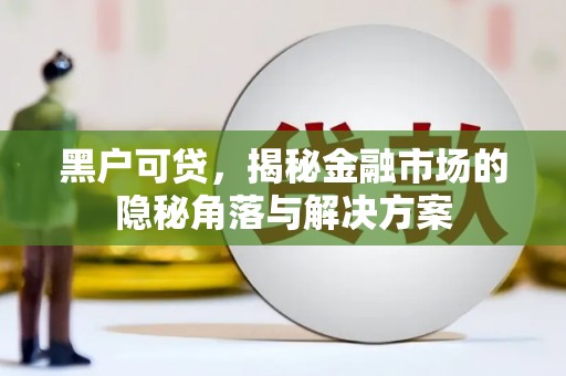 常平黑户可贷，揭秘金融市场的隐秘角落与解决方案