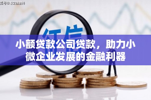 常平小额贷款公司贷款，助力小微企业发展的金融利器