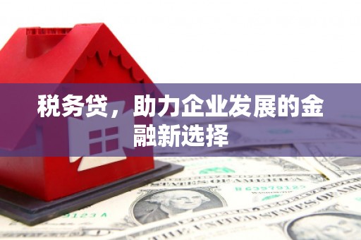 常平税务贷，助力企业发展的金融新选择