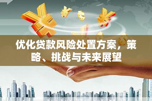 常平优化贷款风险处置方案，策略、挑战与未来展望