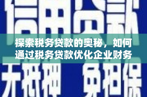 常平探索税务贷款的奥秘，如何通过税务贷款优化企业财务