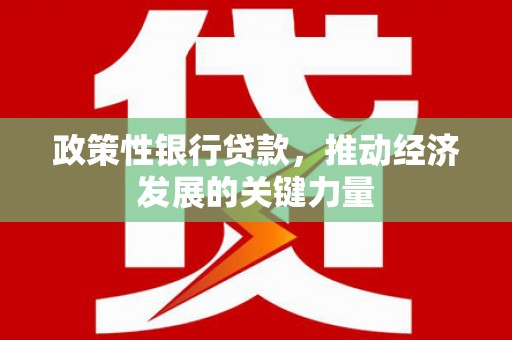 常平政策性银行贷款，推动经济发展的关键力量