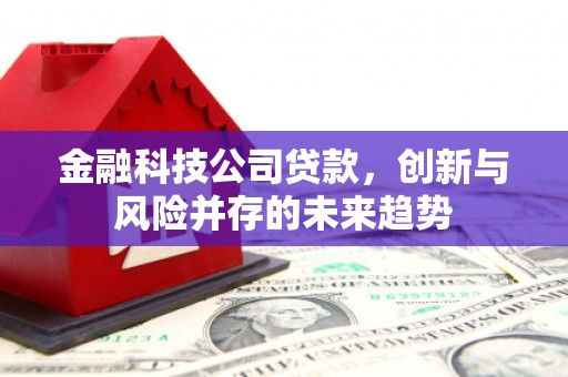 常平金融科技公司贷款，创新与风险并存的未来趋势