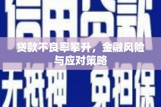 常平贷款不良率攀升，金融风险与应对策略