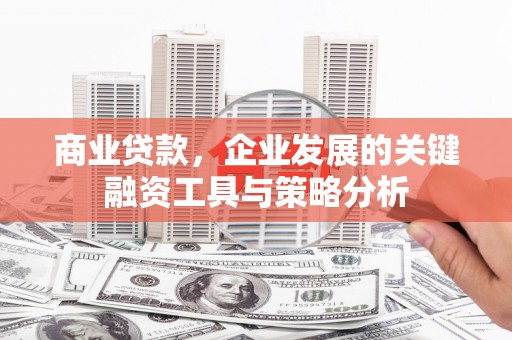 常平商业贷款，企业发展的关键融资工具与策略分析