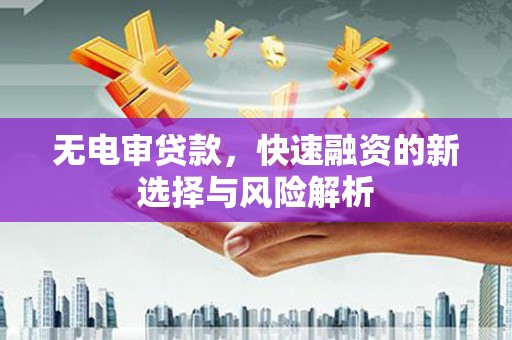 常平无电审贷款，快速融资的新选择与风险解析