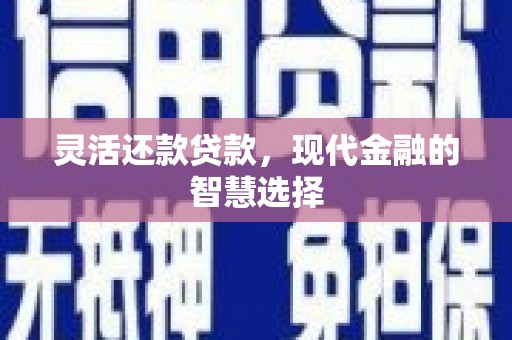常平灵活还款贷款，现代金融的智慧选择