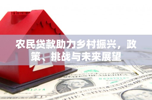 常平农民贷款助力乡村振兴，政策、挑战与未来展望