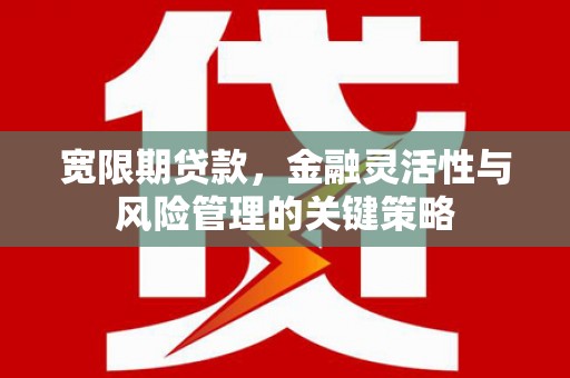 常平宽限期贷款，金融灵活性与风险管理的关键策略