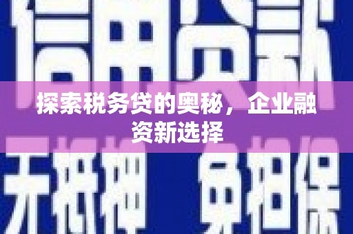 常平探索税务贷的奥秘，企业融资新选择