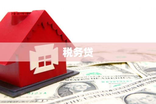 常平税务贷