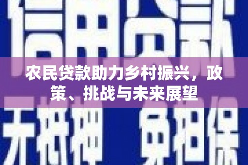 常平农民贷款助力乡村振兴，政策、挑战与未来展望