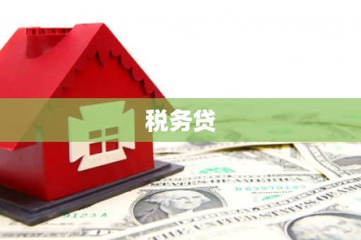 常平税务贷