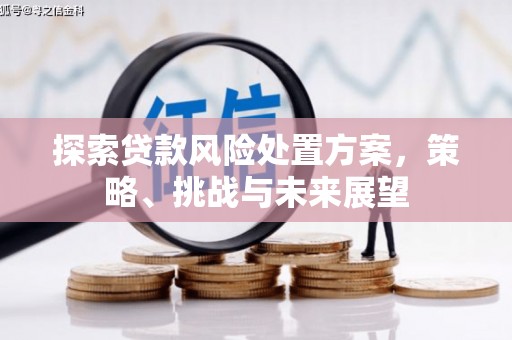 常平探索贷款风险处置方案，策略、挑战与未来展望