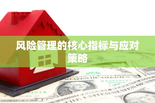 常平风险管理的核心指标与应对策略