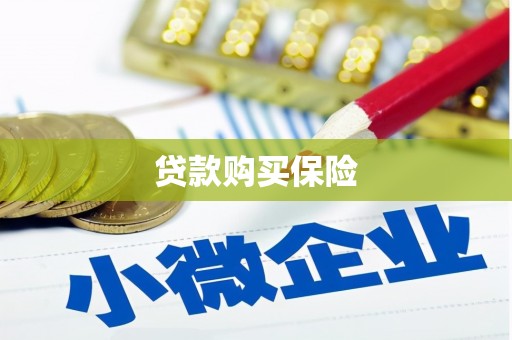 常平贷款购买保险