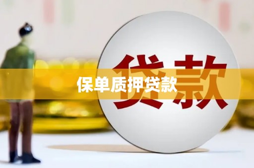 常平保单质押贷款
