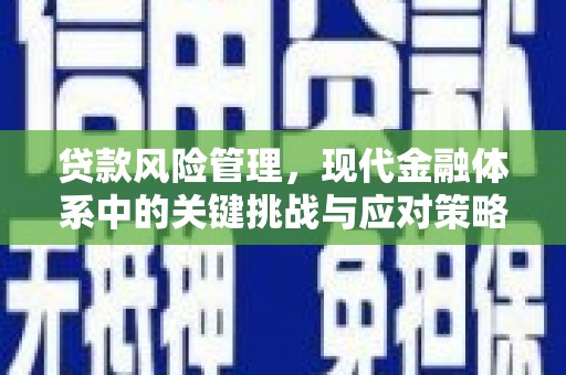 常平贷款风险管理，现代金融体系中的关键挑战与应对策略