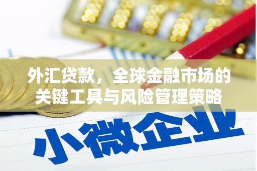 常平外汇贷款，全球金融市场的关键工具与风险管理策略