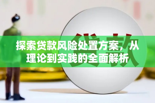 常平探索贷款风险处置方案，从理论到实践的全面解析