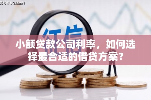 常平小额贷款公司利率，如何选择最合适的借贷方案？