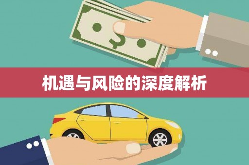 常平机遇与风险的深度解析