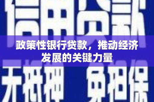 常平政策性银行贷款，推动经济发展的关键力量