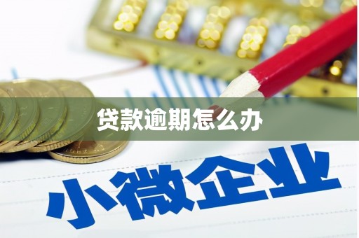 常平贷款逾期怎么办