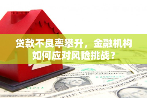 常平贷款不良率攀升，金融机构如何应对风险挑战？