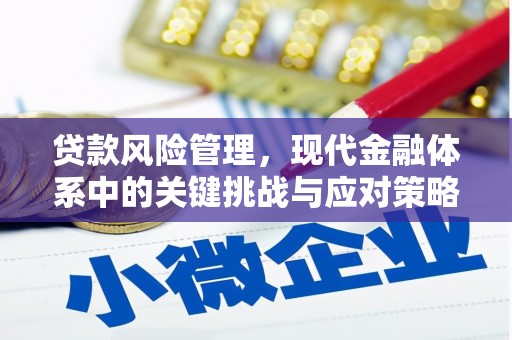 常平贷款风险管理，现代金融体系中的关键挑战与应对策略