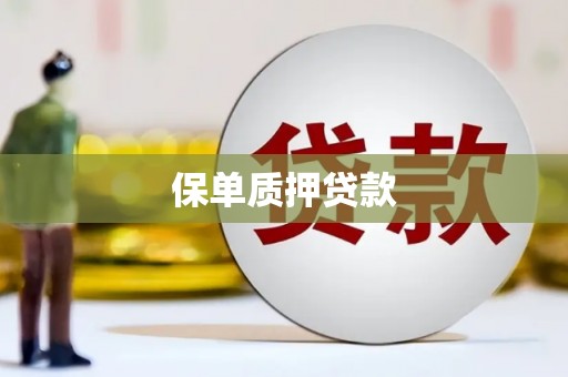 常平保单质押贷款